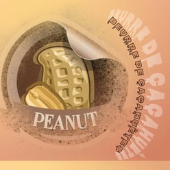 tenada_2026_02_24_15_49_00_218