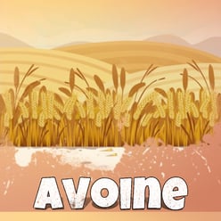 tenada_2026_02_24_16_05_40_565